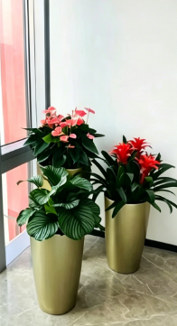 江北绿植出租价格-奉化绿植租摆新闻-奉化商务绿植出租费用-江北花木租摆销售